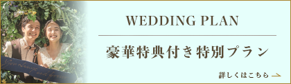 豪華優待特典付き特別プラン